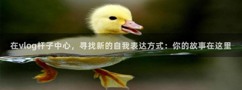 糖心x：在vlog杆子中心，寻找新的自我表达方式：你的故事在