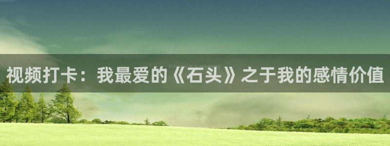 糖心vlgo白丝免费观看：视频打卡：我最爱的《石头》之于我的