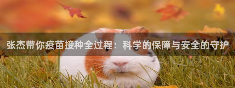 糖心velog：张杰带你疫苗接种全过程：科学的保障与安全的守